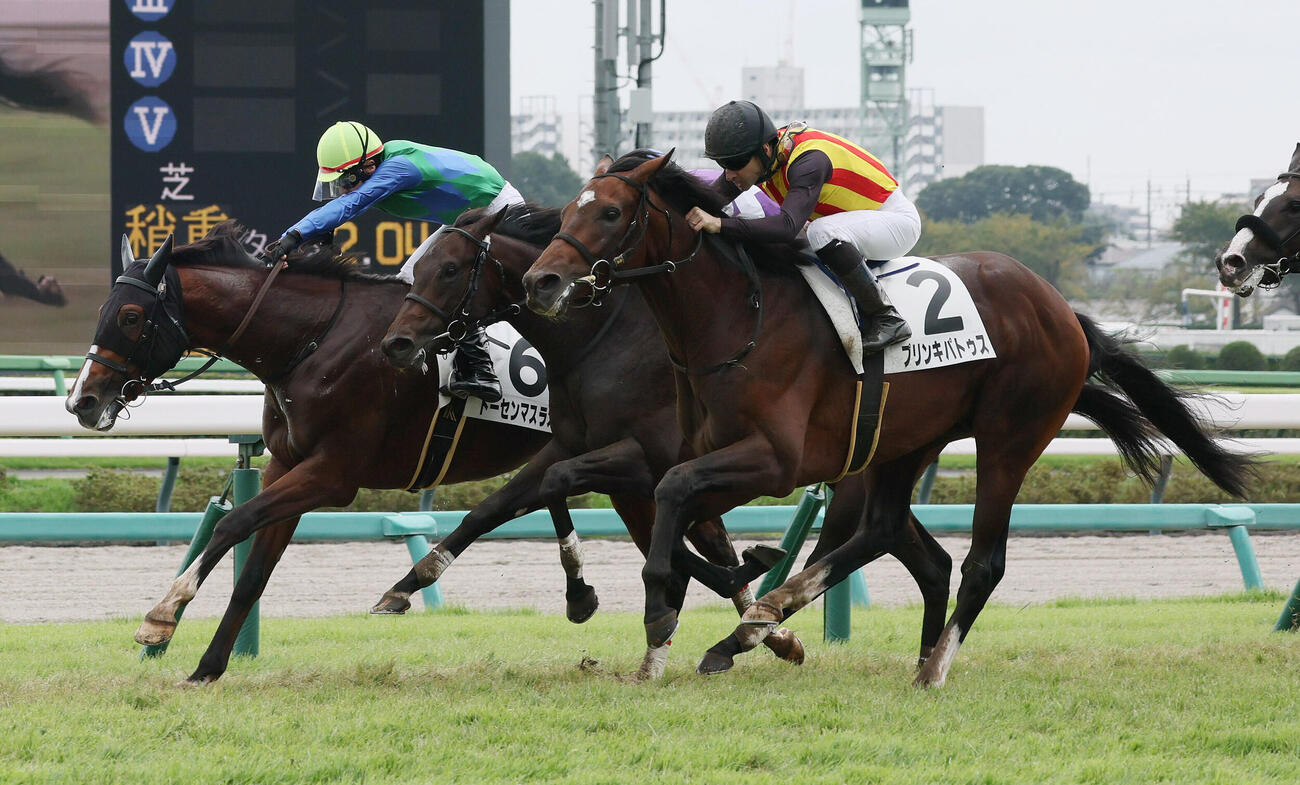 中山2R、2歳未勝利戦を制したプリンキパトゥスとクリストフ・ルメール騎手（手前）（撮影・丹羽敏通）