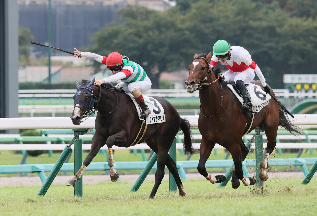 中山5R、2歳新馬戦を制したダイアナマリアとクリストフ・ルメール騎手（左）（撮影・丹羽敏通）
