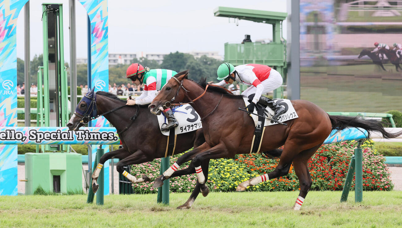 中山5R、2歳新馬戦を制したダイアナマリアとクリストフ・ルメール騎手（奥）（撮影・丹羽敏通）