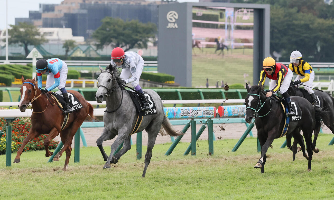 中山9R1番人気で2着に敗れたリサナウト(右)（撮影・丹羽敏通）