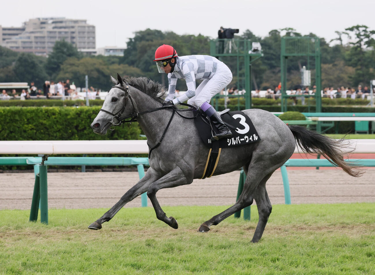 中山9R、サフラン賞を制したシルバーウィルと武豊騎手（撮影・丹羽敏通）