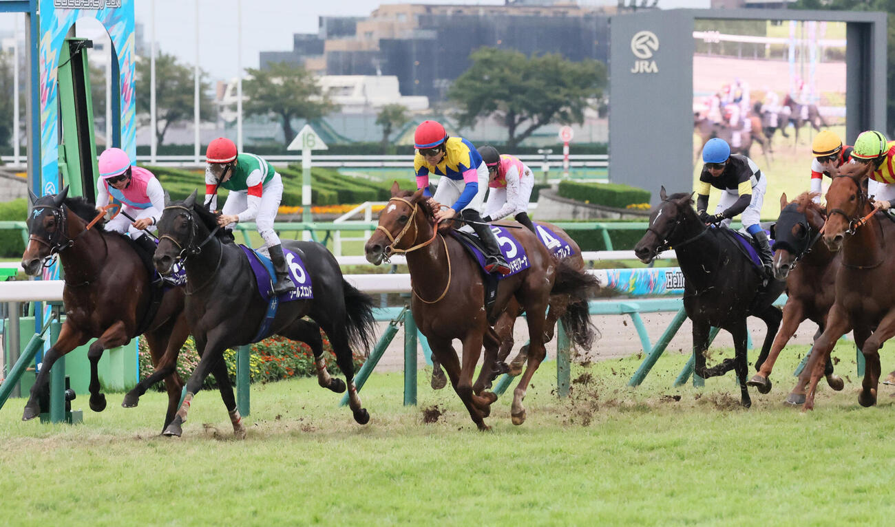 スプリンターズS3着に入ったサウンドモリアーナ（中央）。左は勝ったピューロマジック（撮影・丹羽敏通）