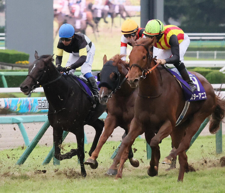 スプリンターズS4着に敗れた1番人気スターアニス（右）（撮影・丹羽敏通）