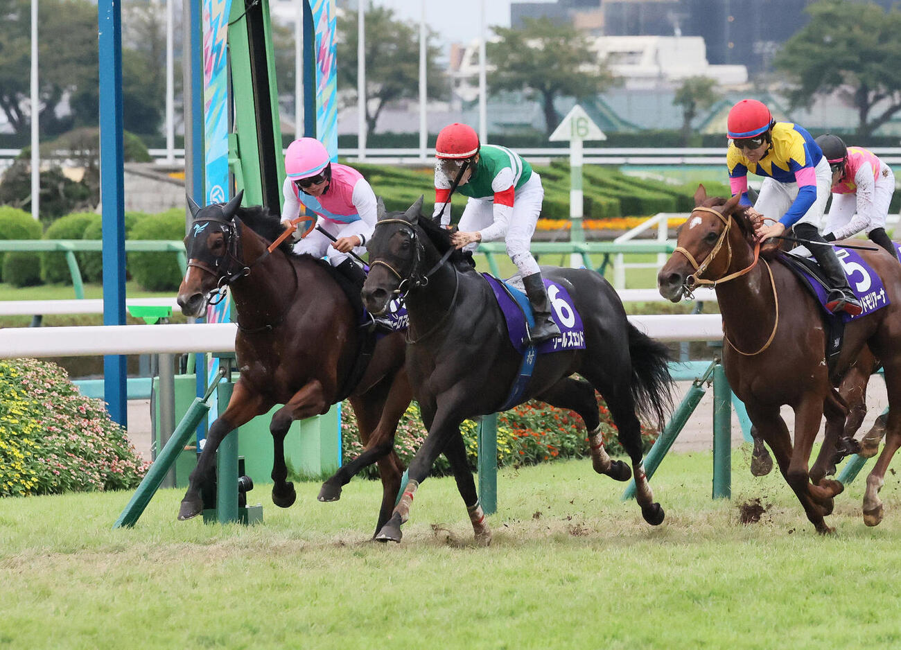 スプリンターズSを制したピューロマジックと岩田望来騎手（左端）（撮影・丹羽敏通）