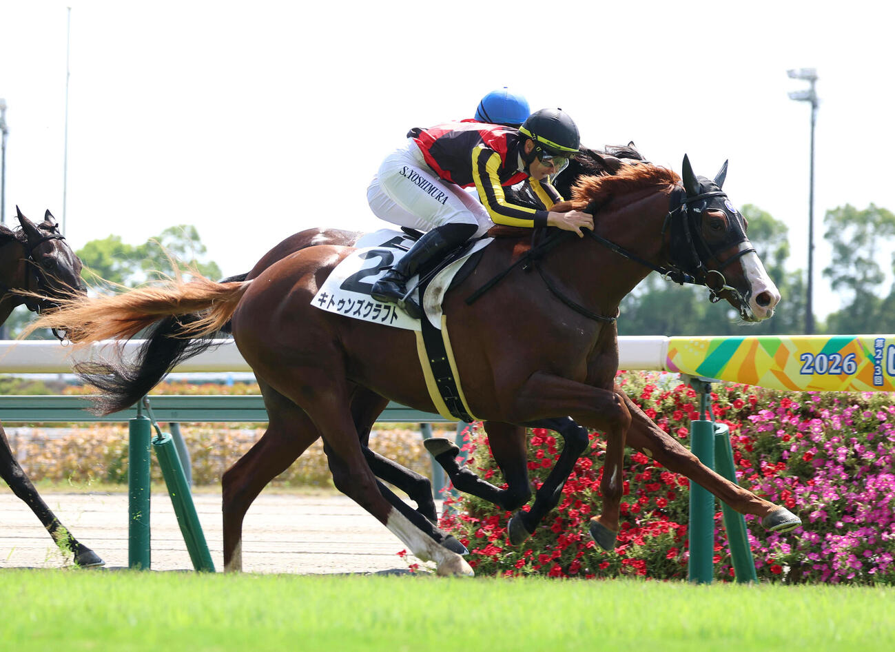 新馬戦を制したキトゥンズクラフト（2026年8月23日撮影）