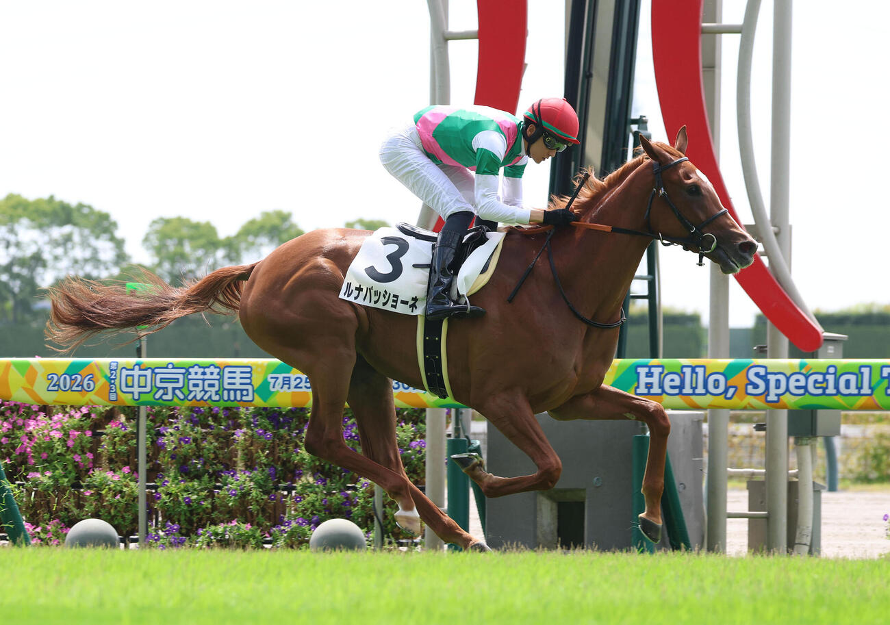 中京2R、逃げ切って新馬戦を快勝したルナパッショーネ（2026年7月26日撮影）