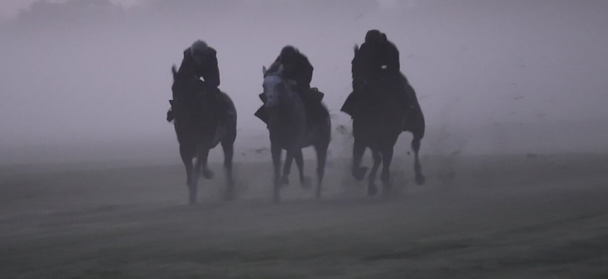 朝モヤの中、3頭併せを行った昨年の凱旋門賞馬ダリズ（右）（撮影・下村琴葉）