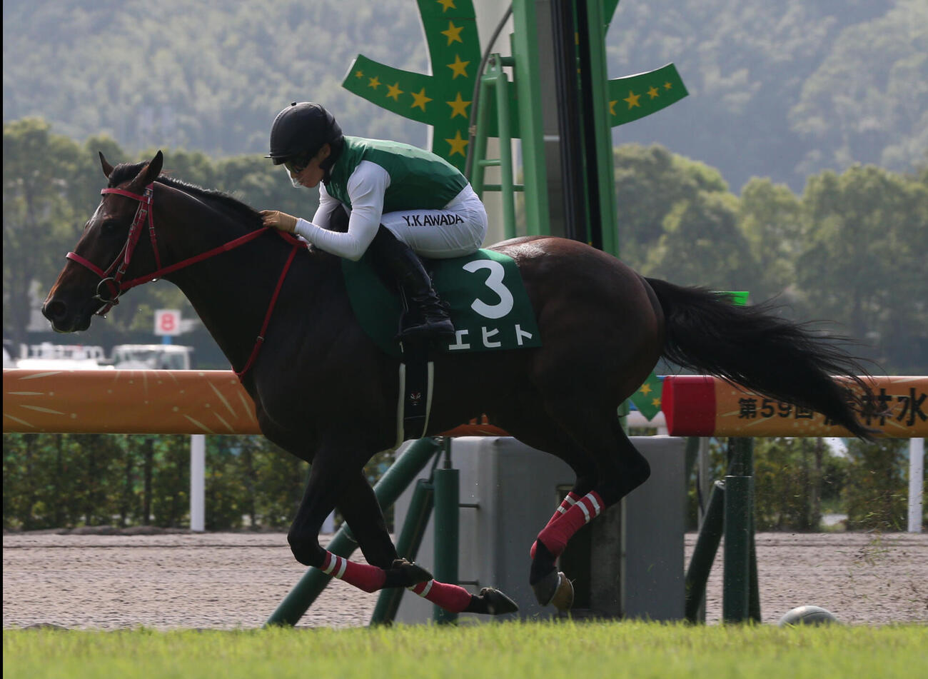 23年小倉記念を制したエヒト