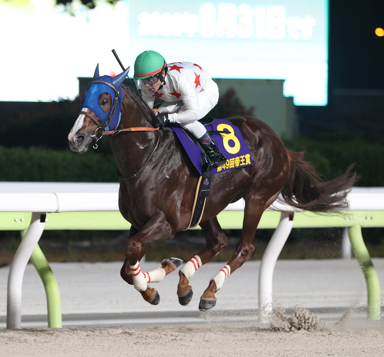 帝王賞を制したミッキーファイトと戸崎圭太騎手（2026年7月1日撮影）