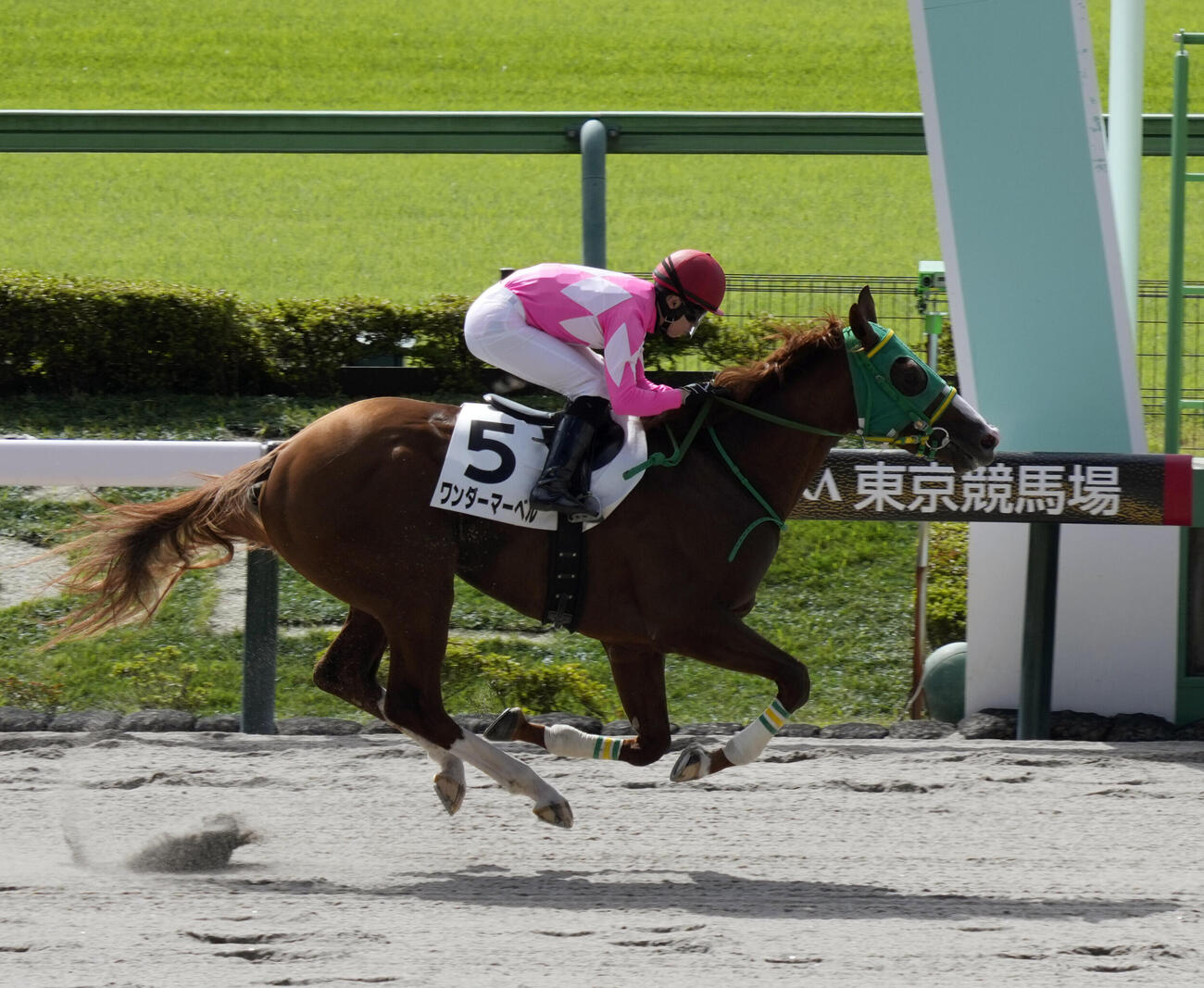 東京1R、2歳未勝利を制したワンダーマーベルと横山琉人騎手（撮影・小島史椰）