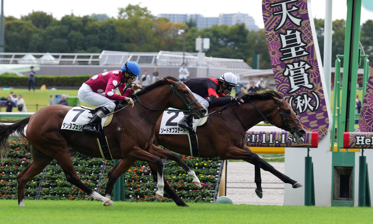 東京3R 2歳新馬戦を制したソードオブステートと田辺裕信騎手（右）（撮影・小島史椰）