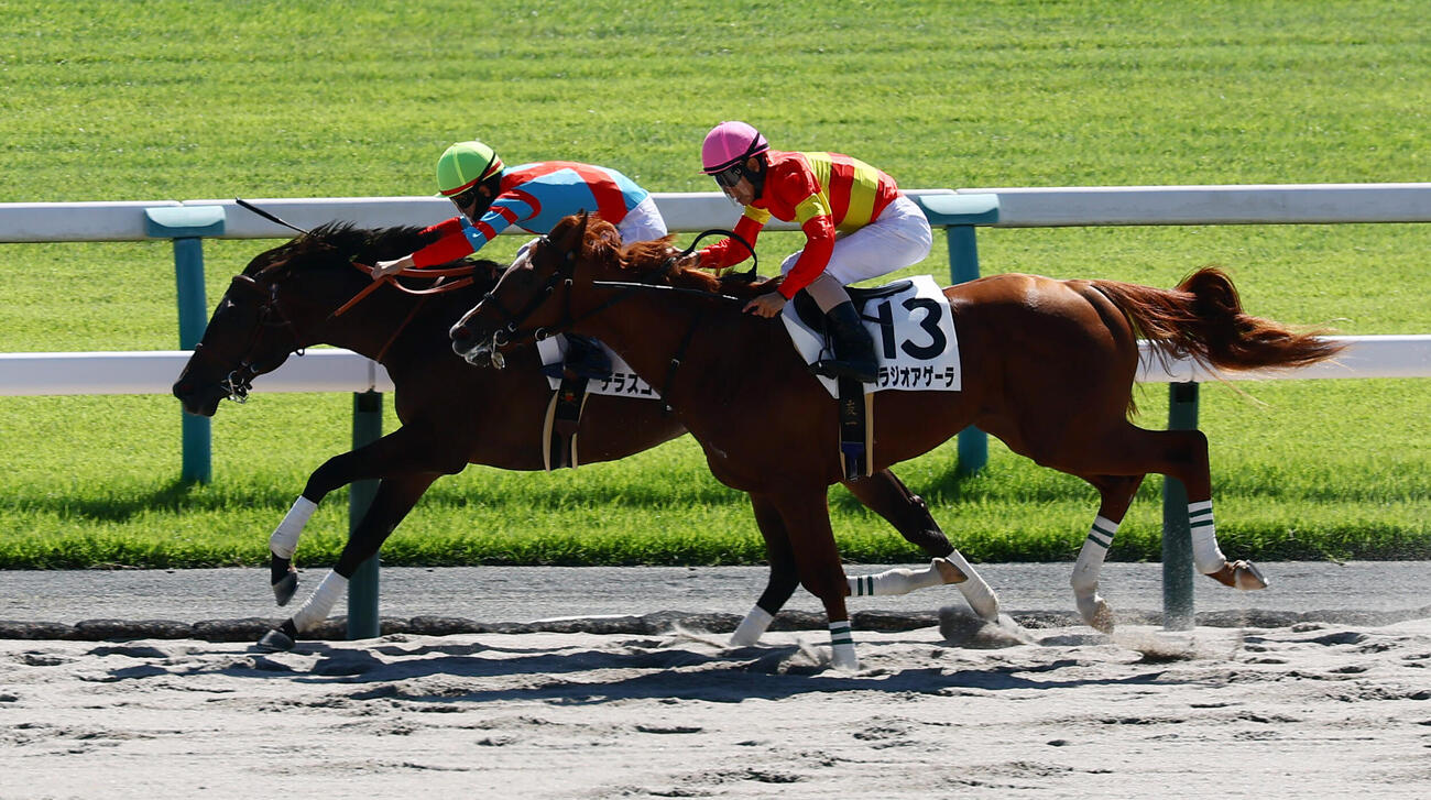 京都4R、松山弘平騎手のデラスゴイガン（左）が新馬戦を制し勝利。右は2着のベラジオアゲーラ（撮影・加藤哉）