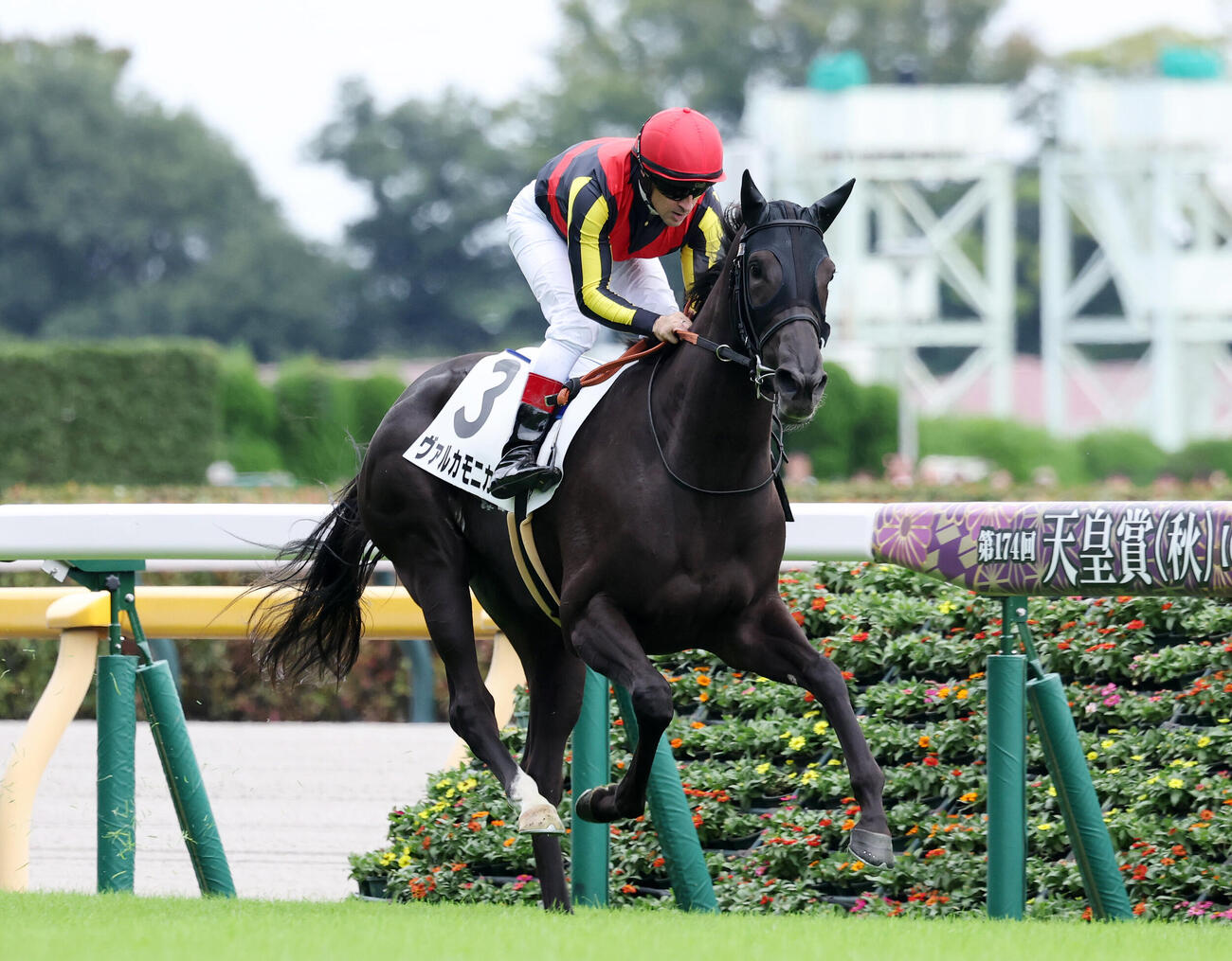 東京5R、2歳新馬戦を制したヴァルカモニカとC・ルメール騎手（撮影・鈴木正人）