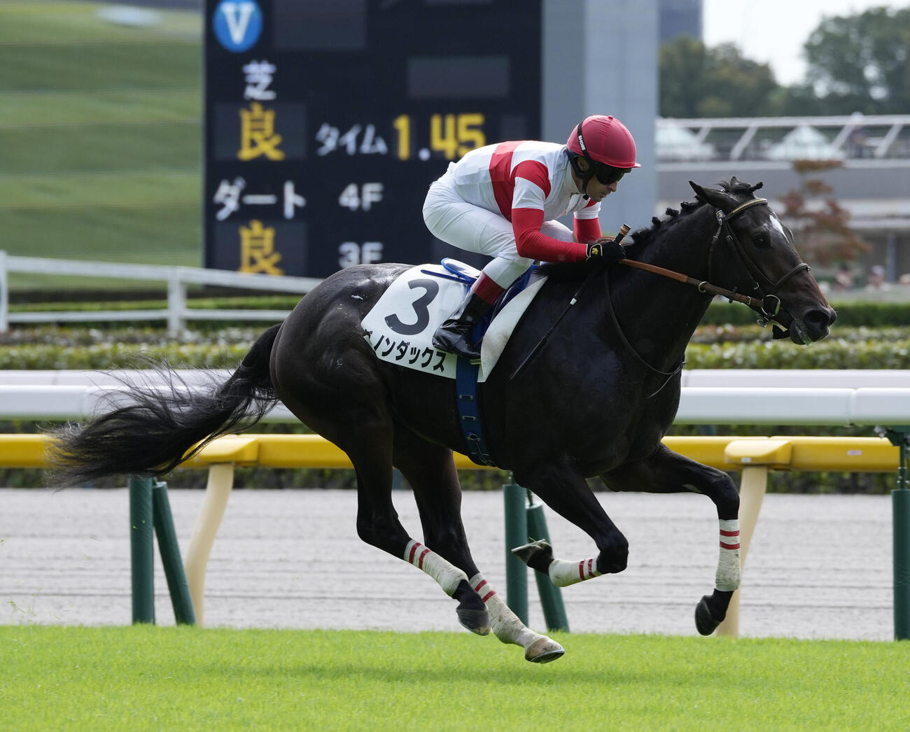 東京1R、2歳未勝利を制したダノンダックスとC・ルメール騎手（撮影・小島史椰）