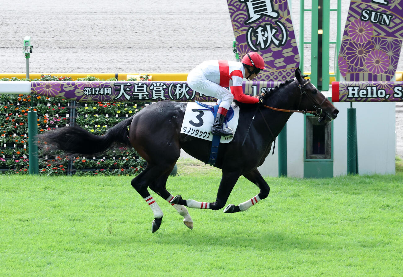 東京1R、2歳未勝利を制したダノンダックスとC・ルメール騎手（撮影・鈴木正人）
