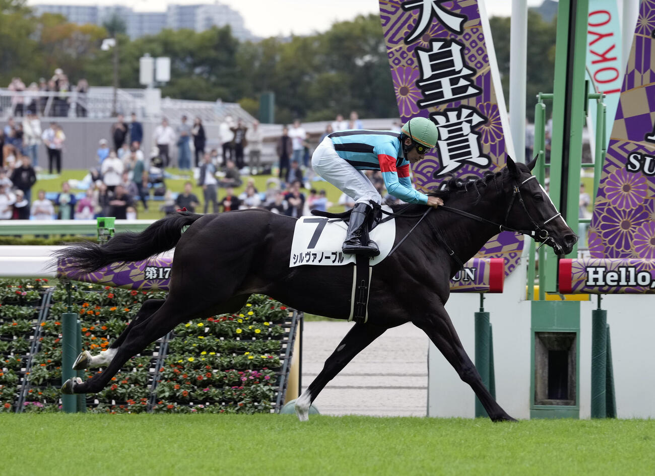 東京5R、2歳新馬戦を制したシルヴァノーブルと横山典弘騎手（撮影・小島史椰）