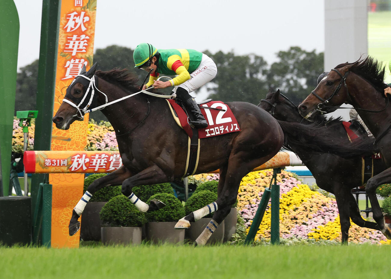 京都大賞典を制したエコロディノスと田口貫太騎手（撮影・白石智彦）