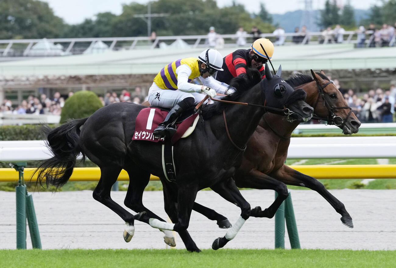 毎日王冠を制したセイウンハーデスと幸英明騎手（手前）（撮影・小島史椰）