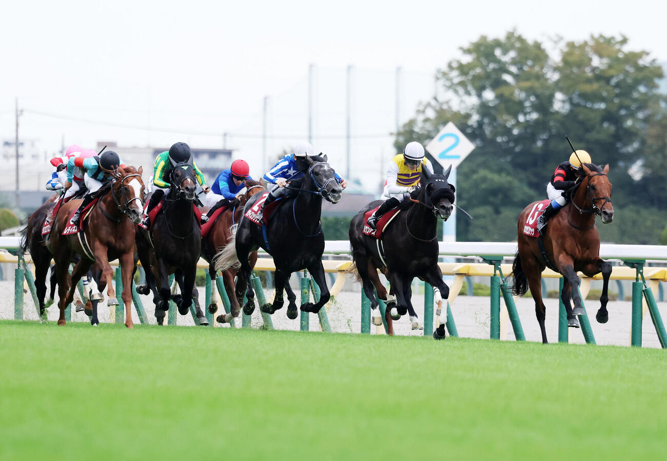 セイウンハーデスが制した毎日王冠（撮影・鈴木正人）