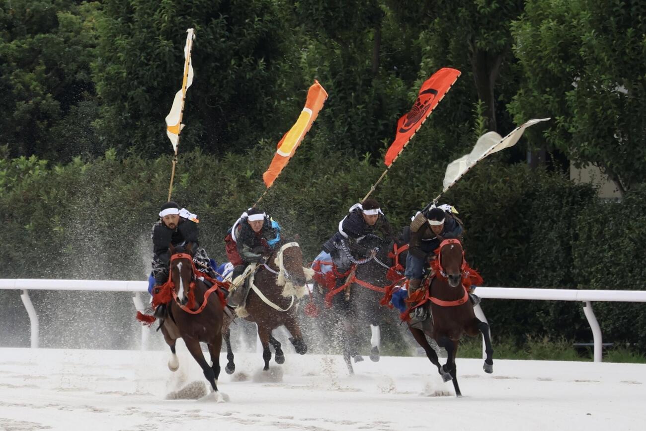 大井競馬場で行われた相馬野馬追の甲冑競馬で4コーナーを回る出走馬