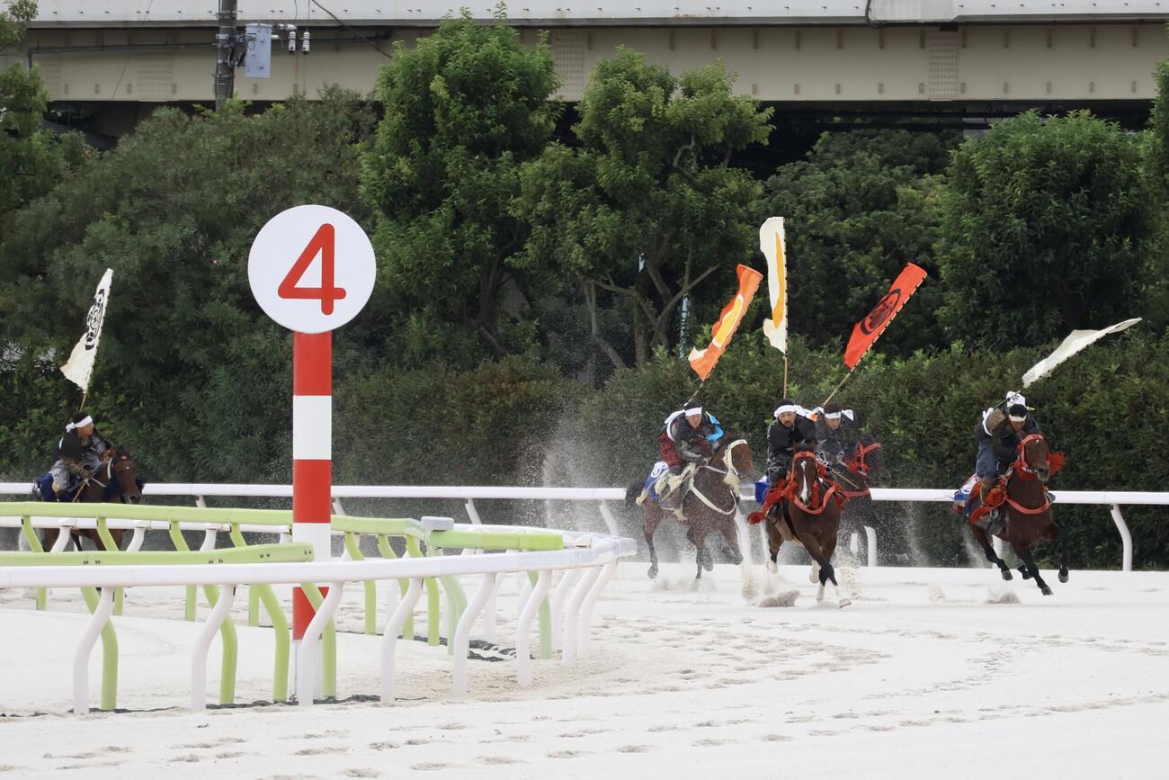 大井競馬場で行われた相馬野馬追の甲冑競馬で4コーナーを回る出走馬