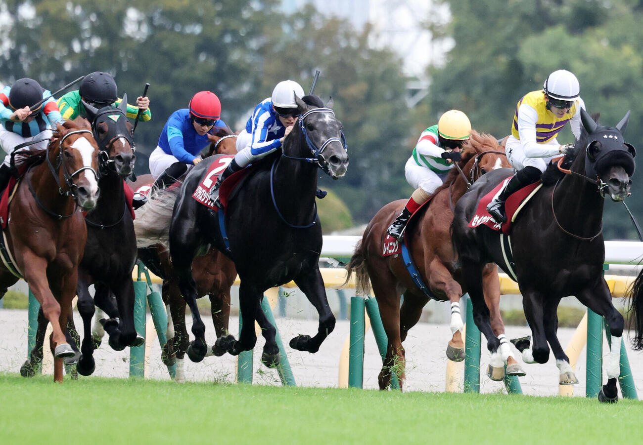 毎日王冠7着に敗れたリアライズシリウス（中央）。右は勝ったセイウンハーデス（撮影・鈴木正人）