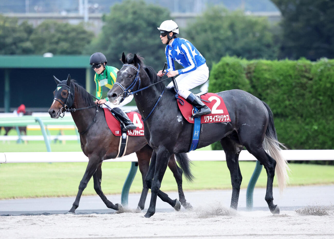毎日王冠で6着のサトノシャイニング（左）と7着のリアライズシリウス（撮影・鈴木正人）