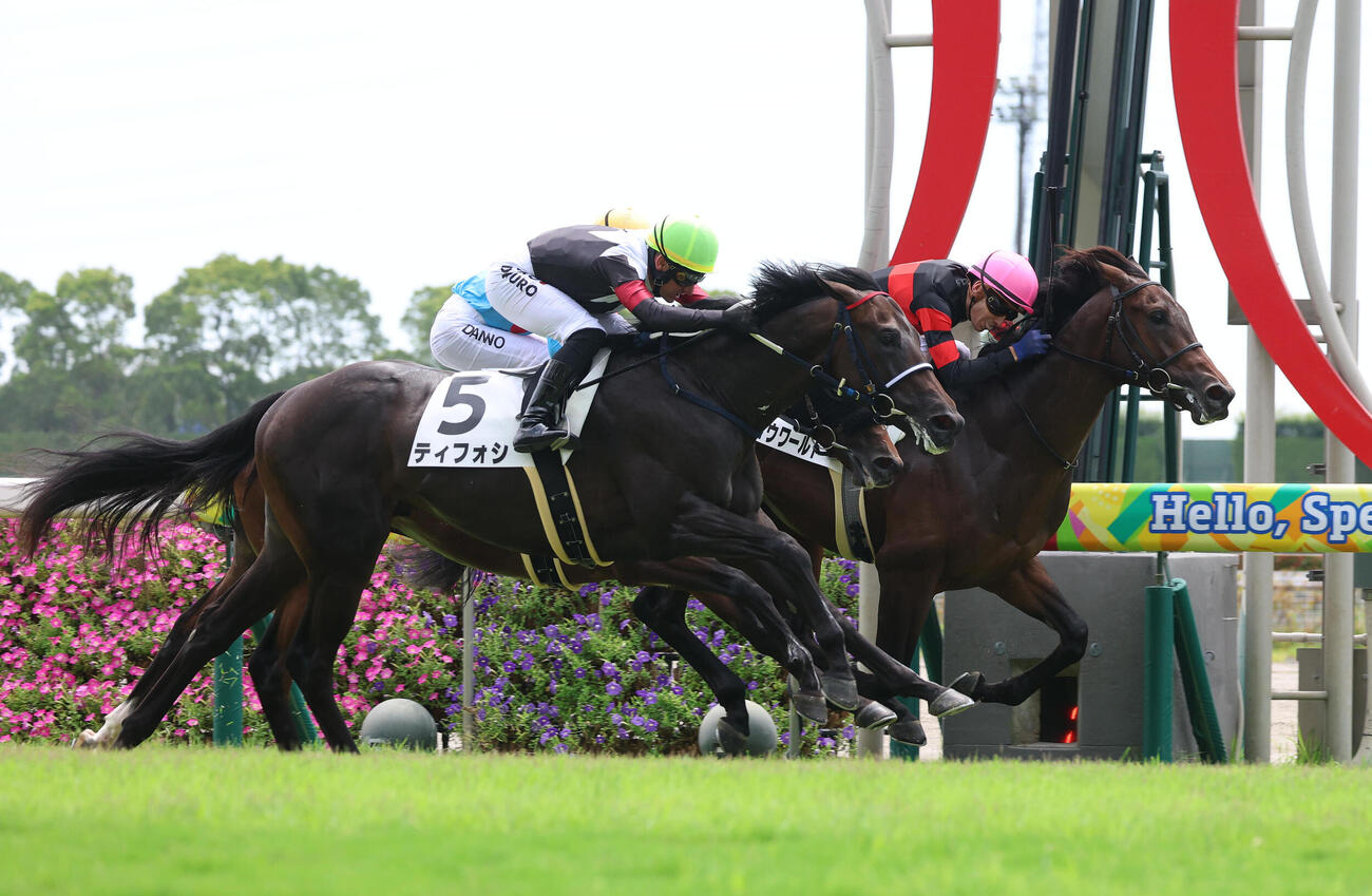 中京3R、逃げ切って新馬戦を制したホウオウワールド（右）（2026年8月16日撮影）