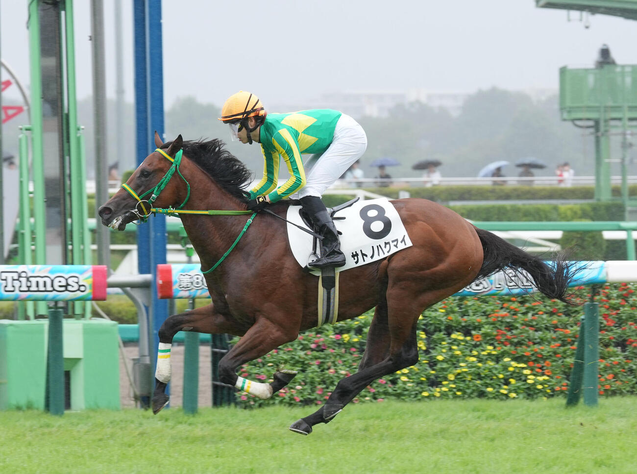 2歳新馬戦を制したサトノハクマイ（2026年9月12日撮影）