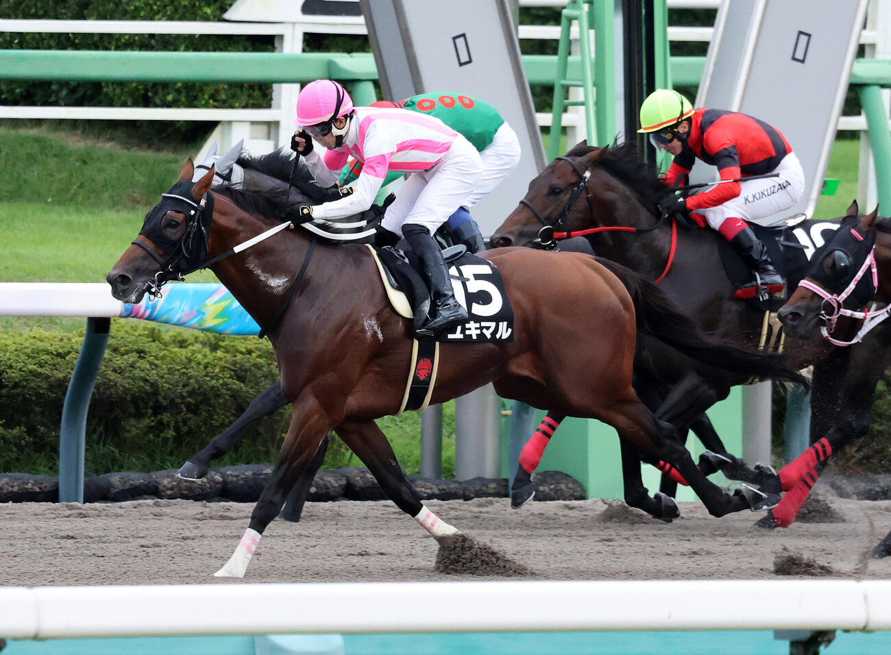 ラジオ日本賞を制したユキマル（2026年9月12日撮影）
