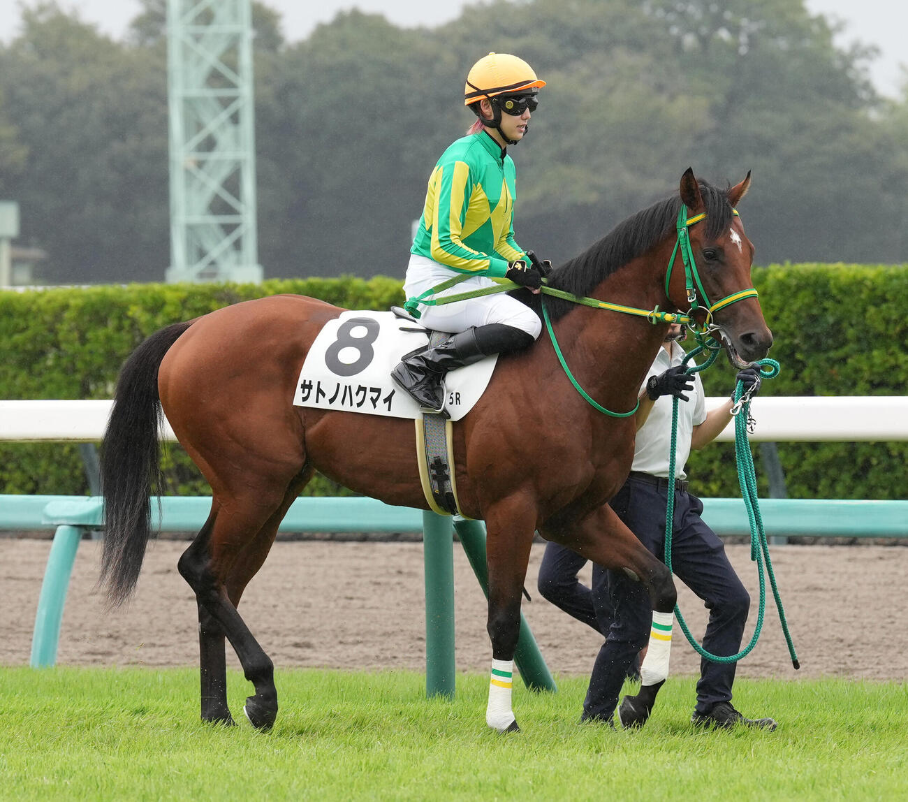 9月12日中山5Rの2歳新馬戦を制したたサトノハクマイ