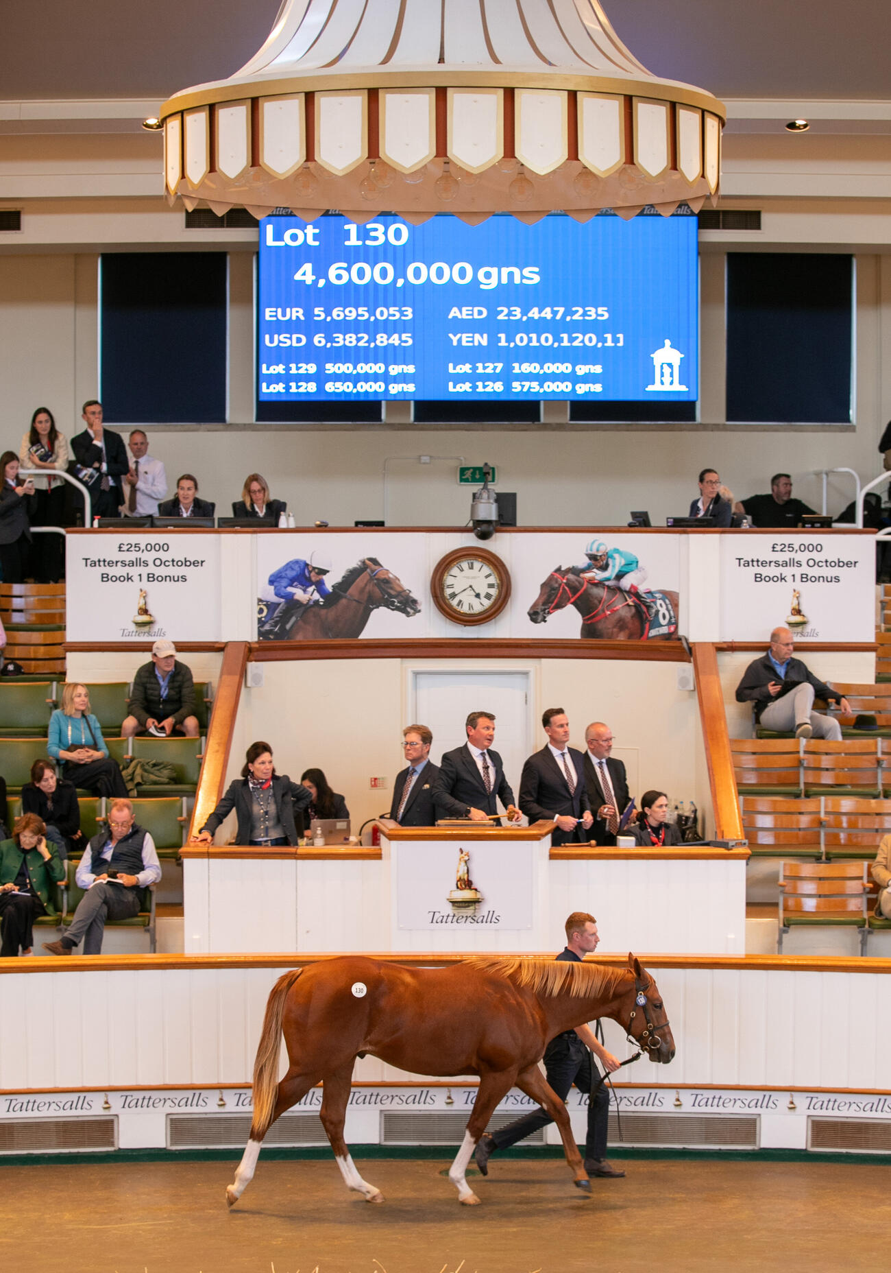 460万ギニーで落札されたナイトオブサンダー産駒（C）Tattersalls