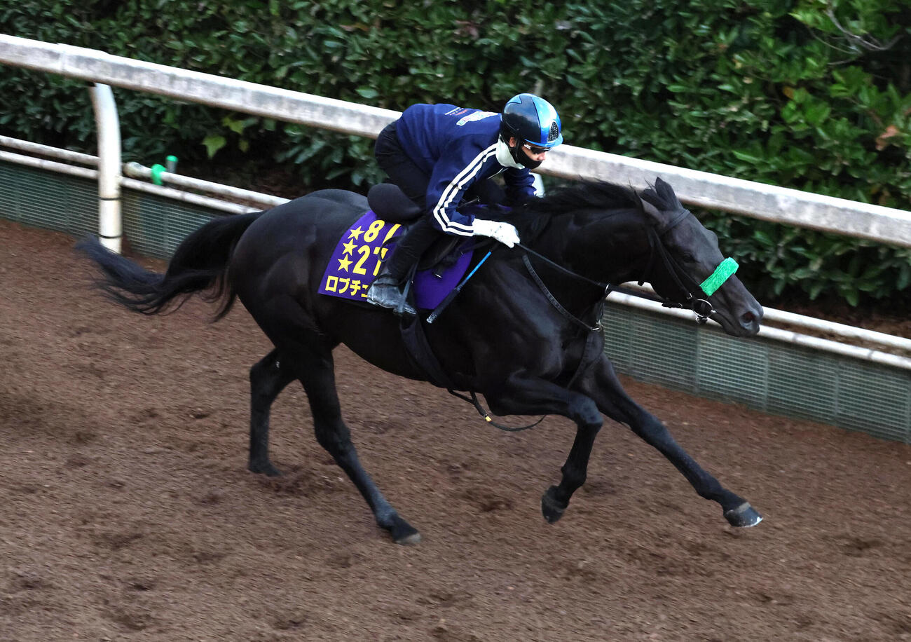 松山騎手を背に、坂路を単走で追い切るロブチェン