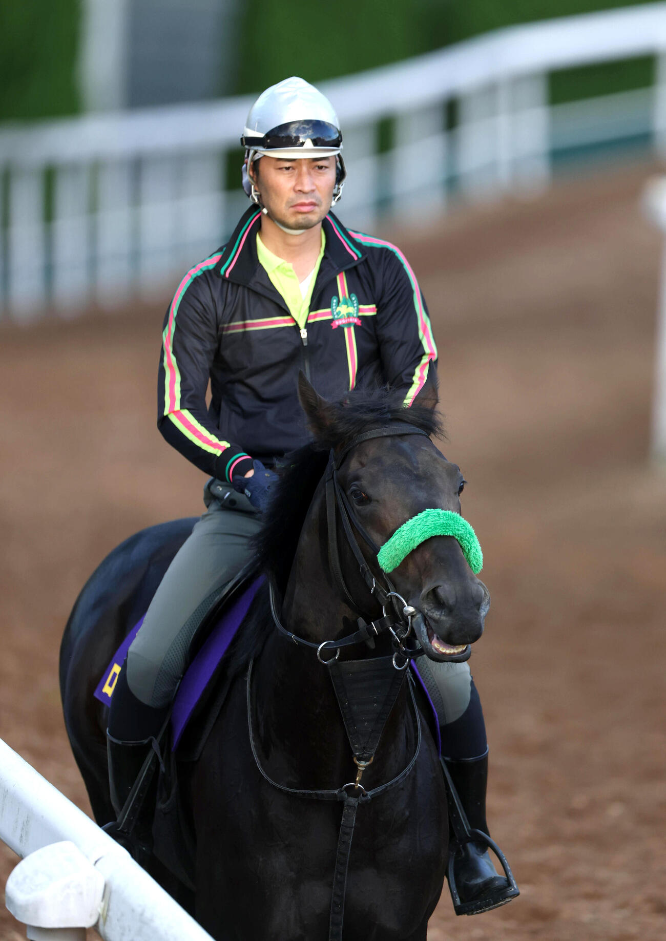 逍遥馬道で運動するロブチェン（撮影・白石智彦）