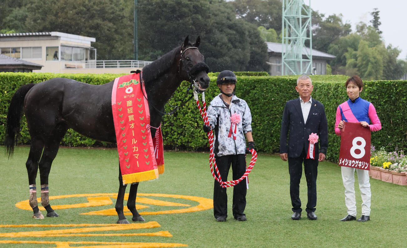 オールカマーを制したメイショウゲキリン（2026年9月20日撮影）