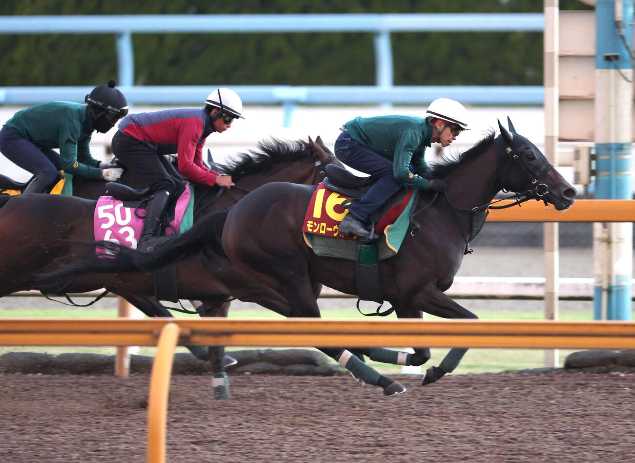 7日、Cウッドを3頭併せで追い切るモンローウォーク