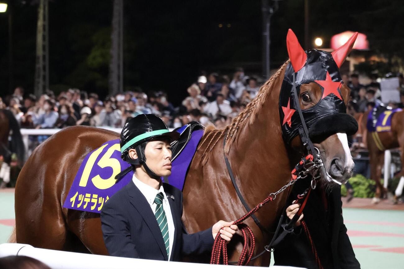ジャパンダートクラシックに出走したイッテラッシャイ（撮影・牛山基康）