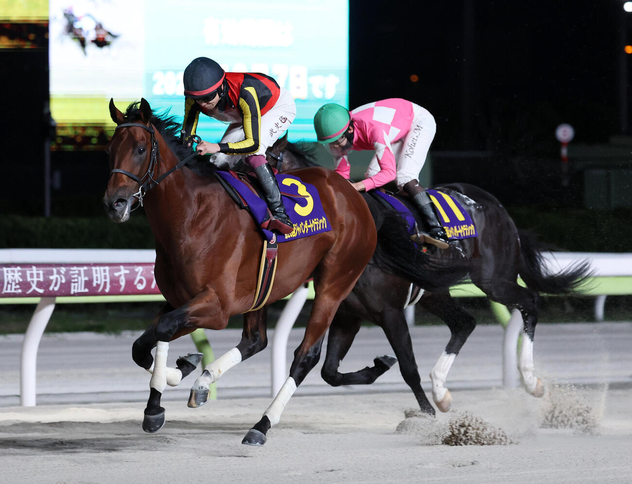 大井11R　ジャパンダートクラシックを制したシルバーレシオ（左）と横山武史騎手（撮影・鈴木正人）
