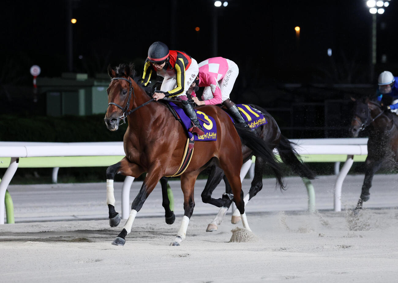 大井11R　ジャパンダートクラシックを制したシルバーレシオ（左）と横山武史騎手（撮影・鈴木正人）