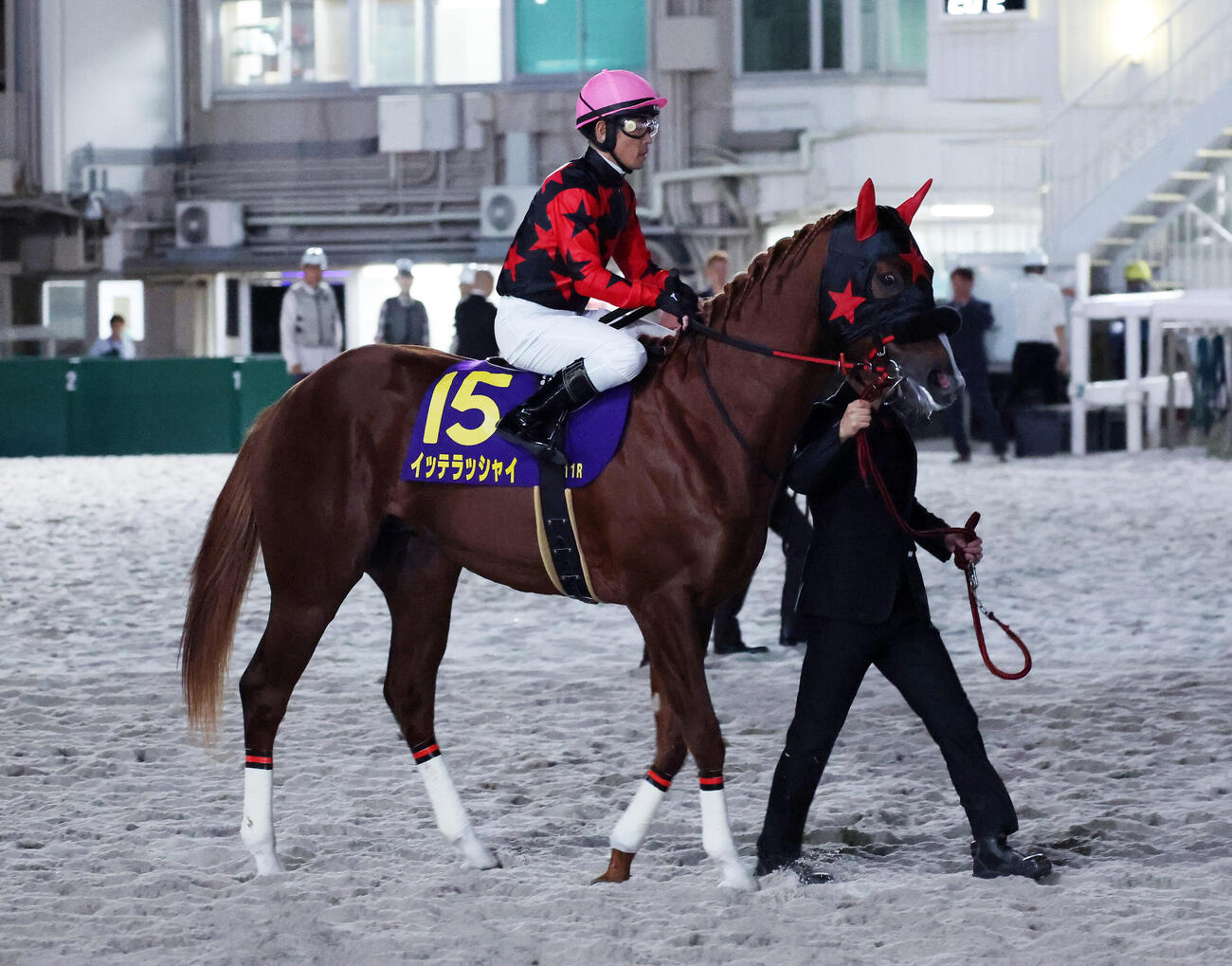 大井11R　ジャパンダートクラシックで16着のイッテラッシャイ（撮影・鈴木正人）
