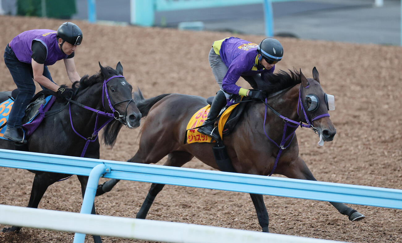 7日、ジョスラン（右）は美浦ウッドでアナザーフェイスと併せて追い切られた