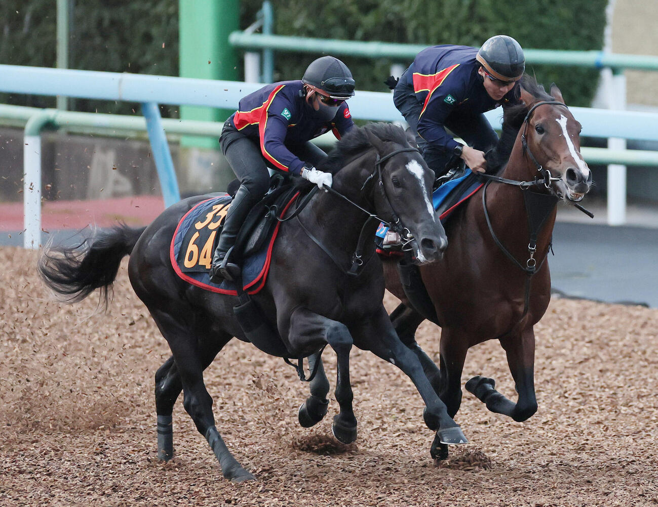 フィリオソラーレは美浦ウッドで併せて追い切られた（撮影・丹羽敏通）