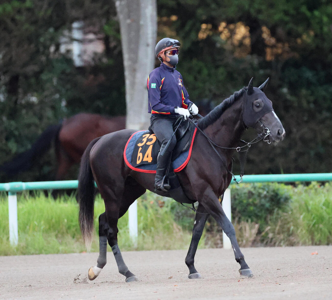 馬場へ向かうフィリオソラーレ（撮影・丹羽敏通）
