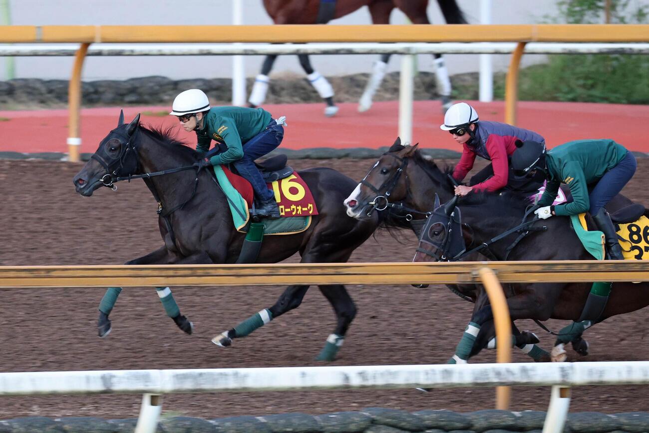 秋華賞（1週前追い切り）　上村洋行調教師が騎乗し、ラクな手応えで併せ馬に先着するモンローウォーク