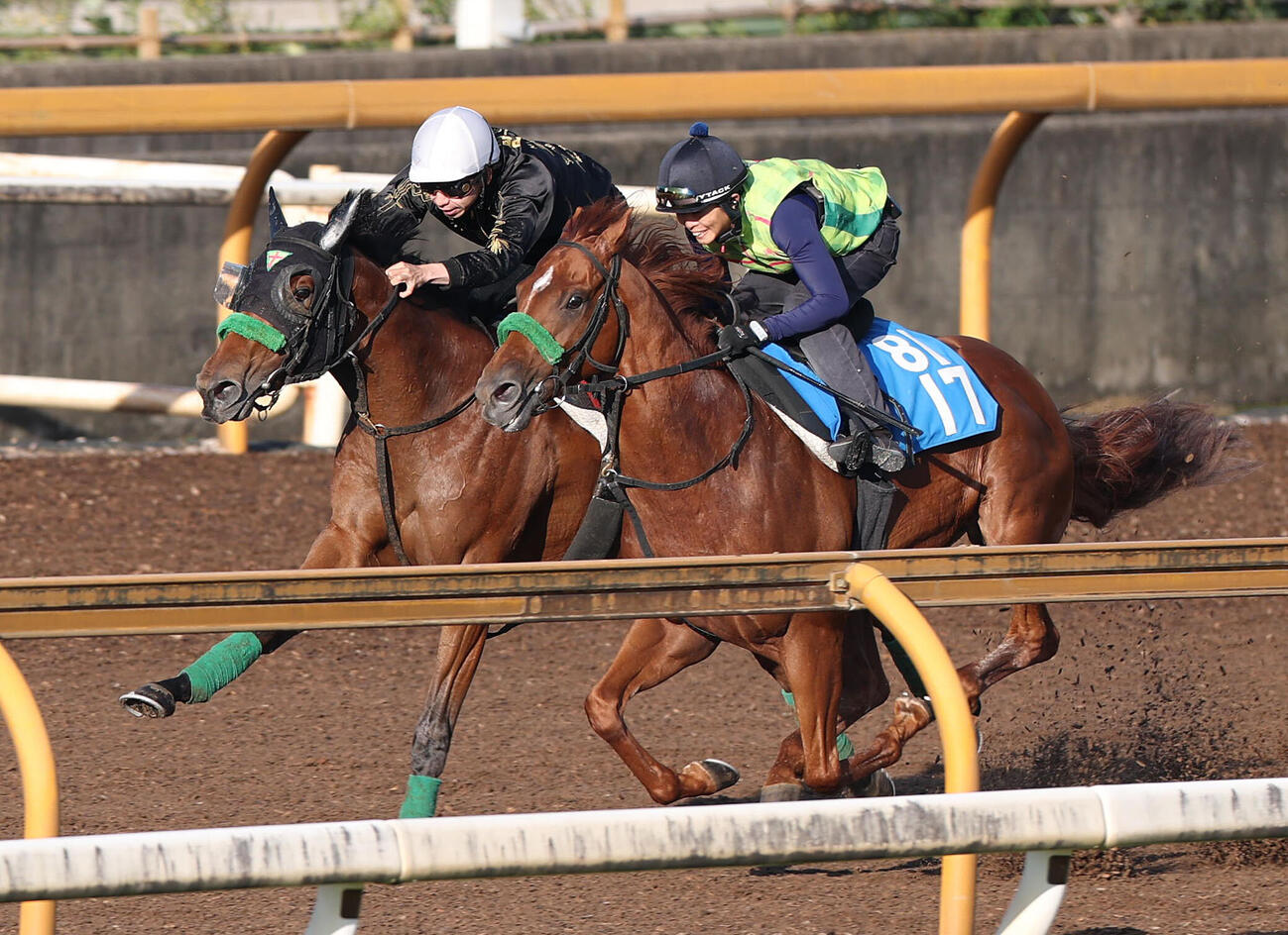 横山和生騎手を背にCウッドを併せ馬で追い切るギャラボーグ（左）（撮影・白石智彦）