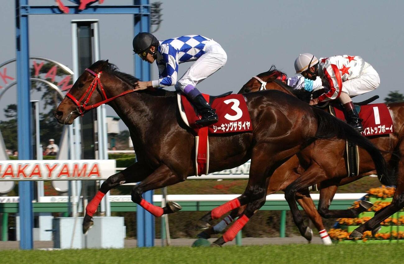 04年、ニュージーランドTを制したシーキングザダイヤ