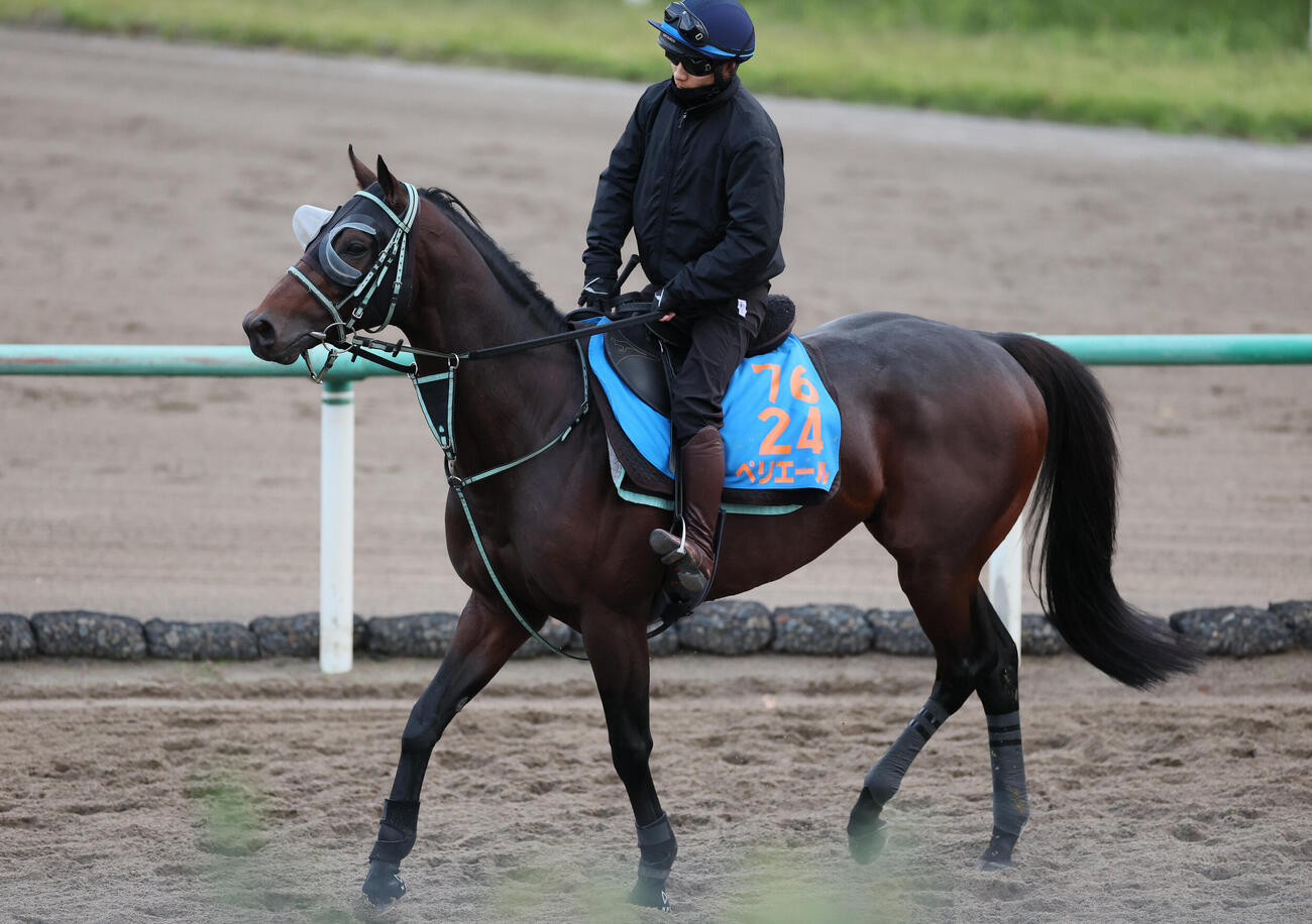 角馬場で調整するペリエールと佐々木大輔騎手（撮影・丹羽敏通）