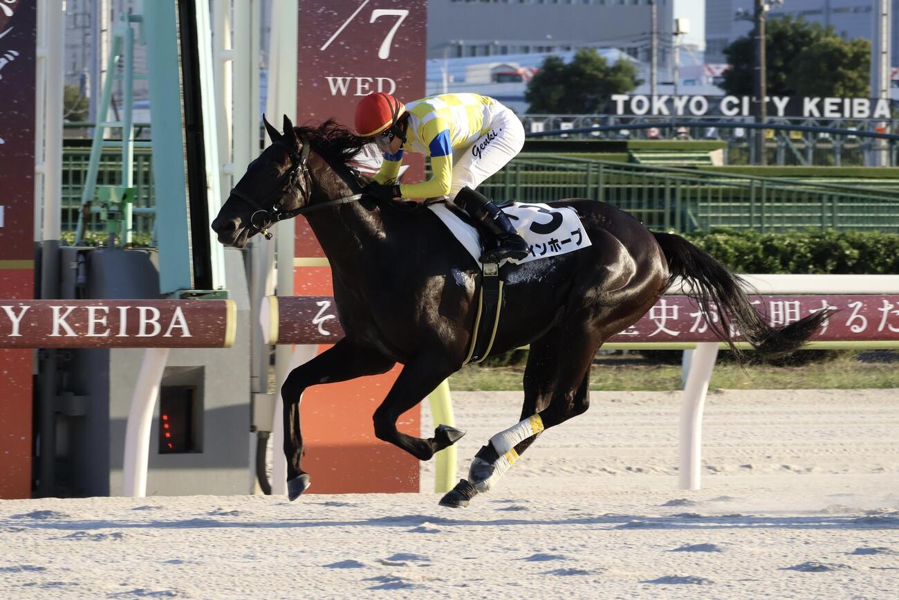 大井4R、ラインホープで勝利した大井の藤本現暉騎手は地方競馬通算600勝を達成