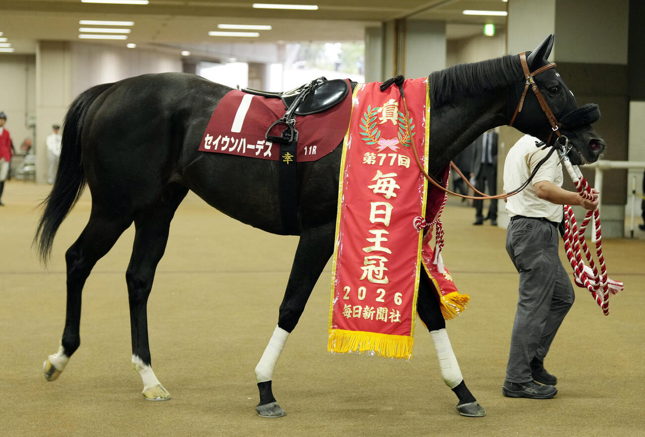 毎日王冠を制したセイウンハーデス（2026年10月4日撮影）