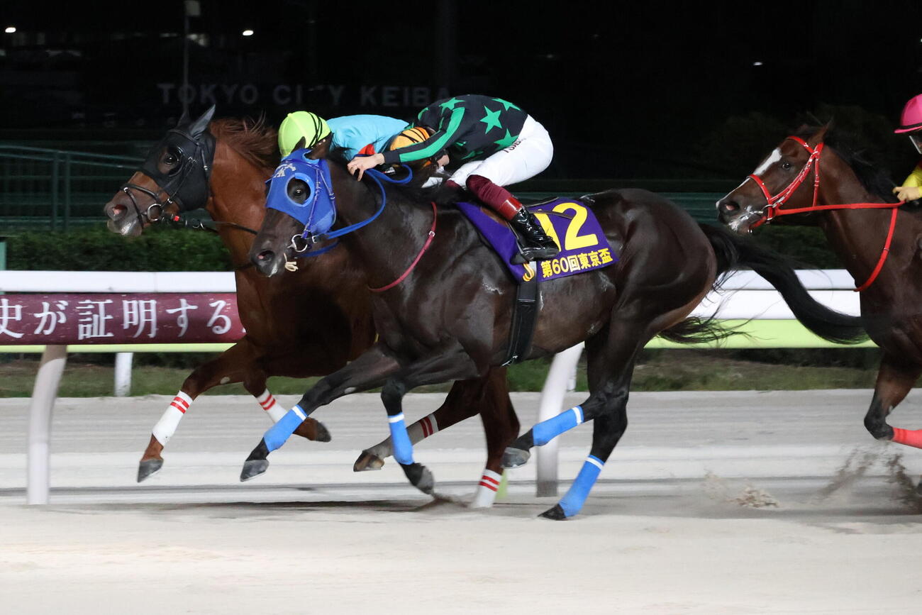 東京盃を制したゼーロスと笹川翼騎手（手前）